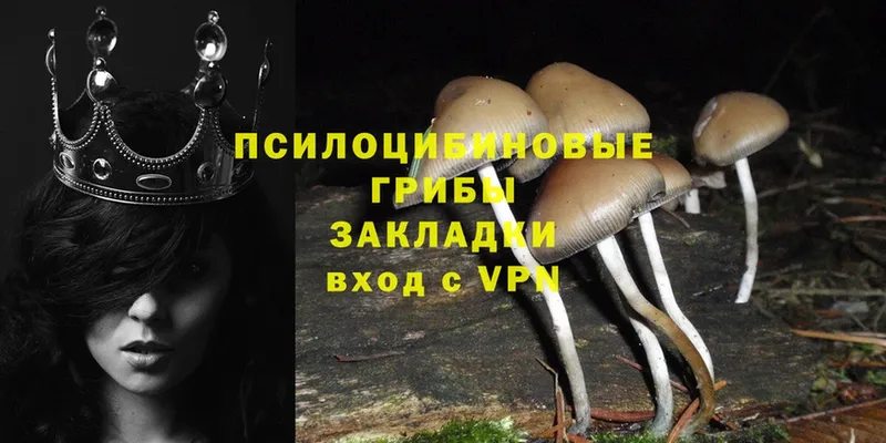 Псилоцибиновые грибы Magic Shrooms  Красноуфимск 